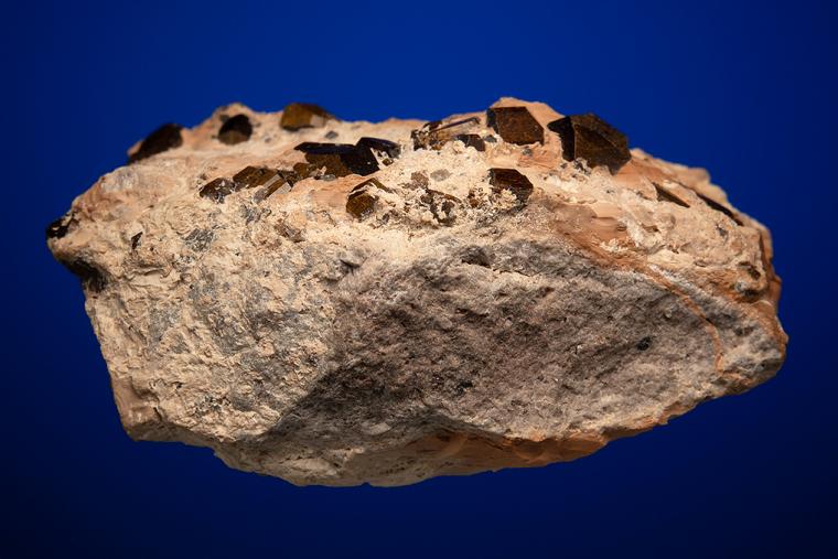 FLUOR-BUERGERITE