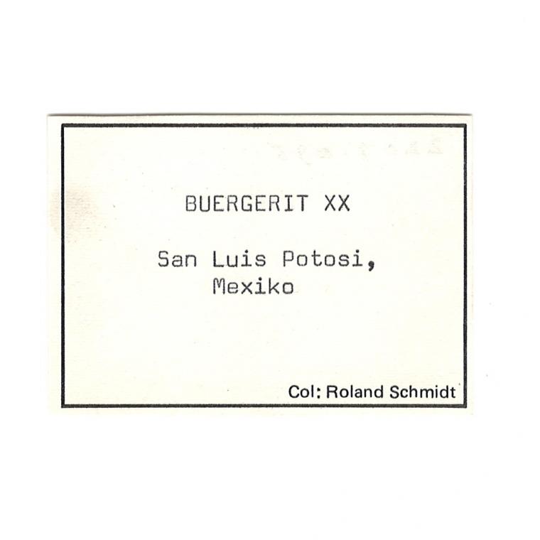 FLUOR-BUERGERITE