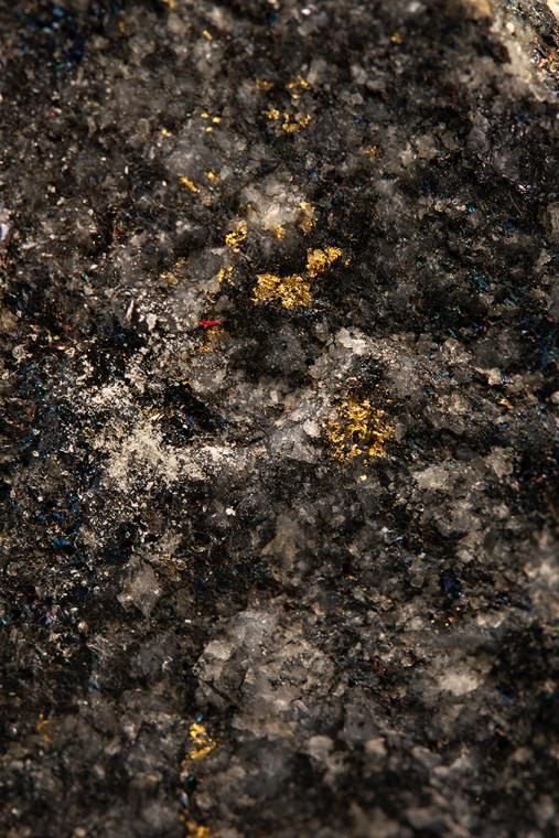 GOLD on BORNITE and CHALCOPYRITE