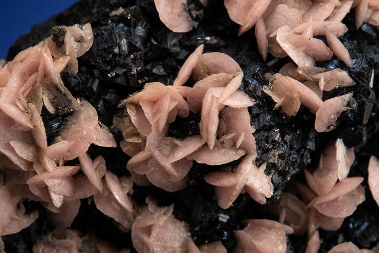 RHODOCHROSITE on SPHALERITE