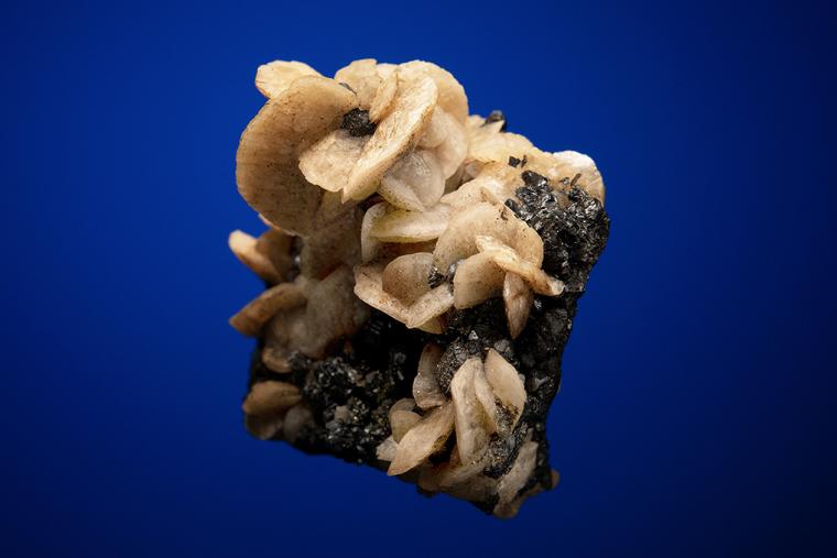 SIDERITE on SPHALERITE