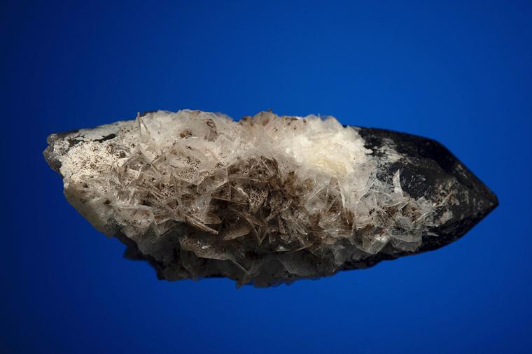 BERTRANDITE on QUARTZ var. Smoky