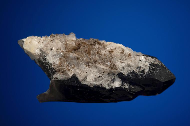 BERTRANDITE on QUARTZ var. Smoky