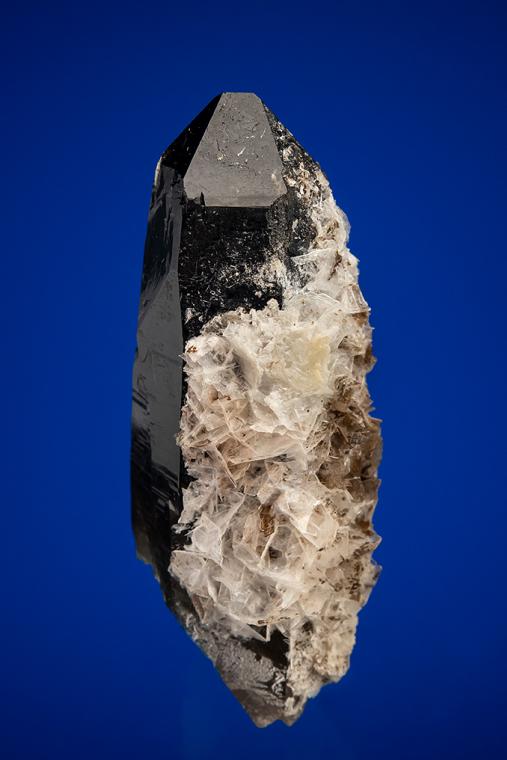 BERTRANDITE on QUARTZ var. Smoky