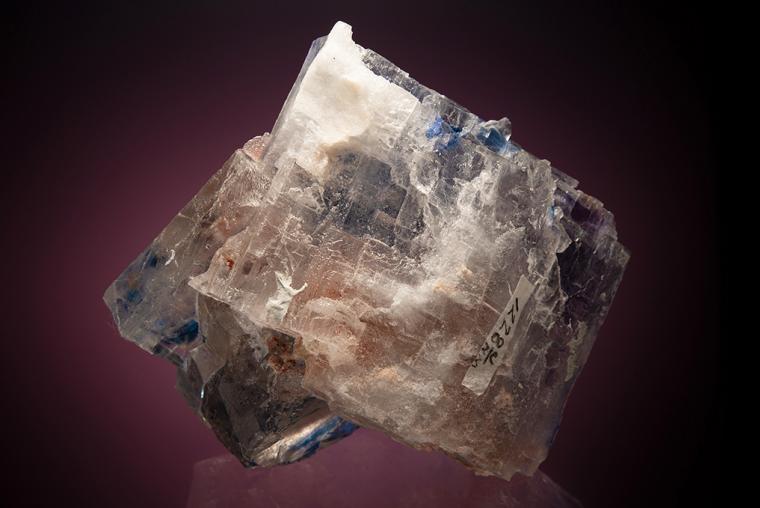 HALITE