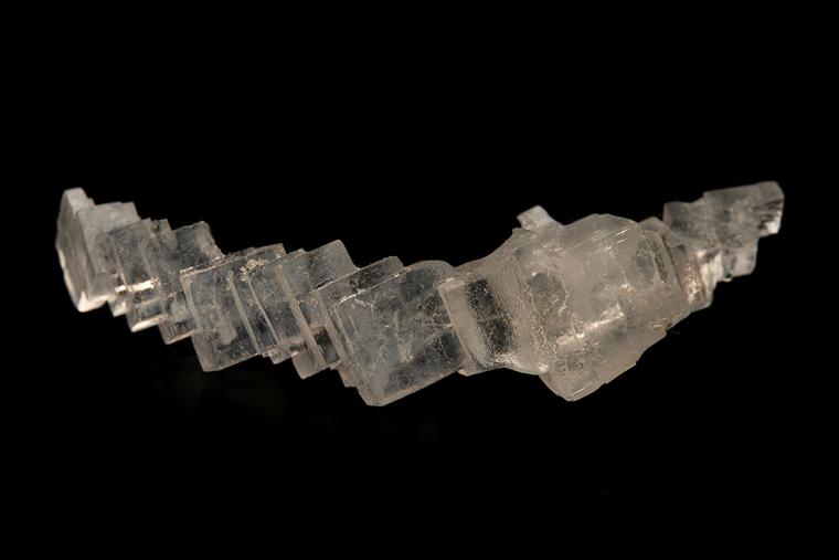 HALITE