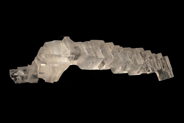 HALITE