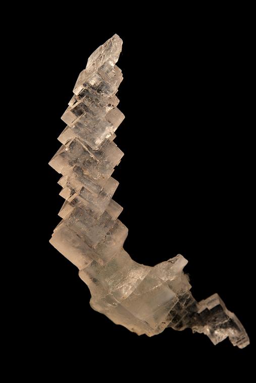 HALITE