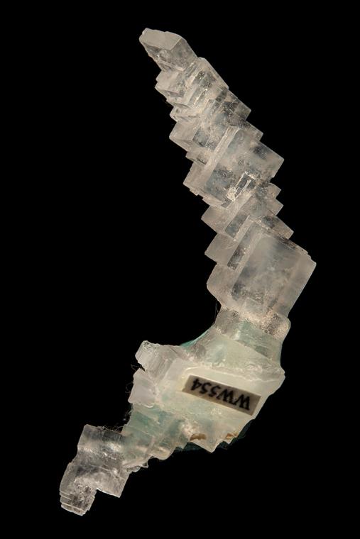 HALITE