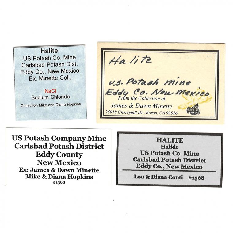 HALITE
