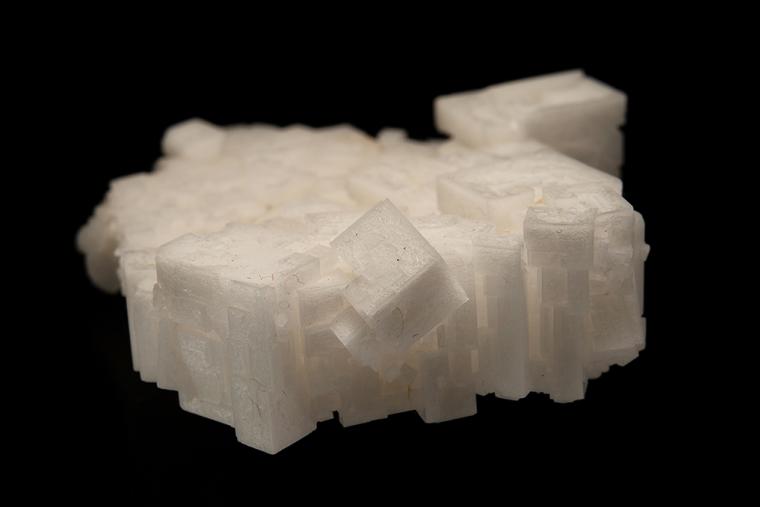 HALITE