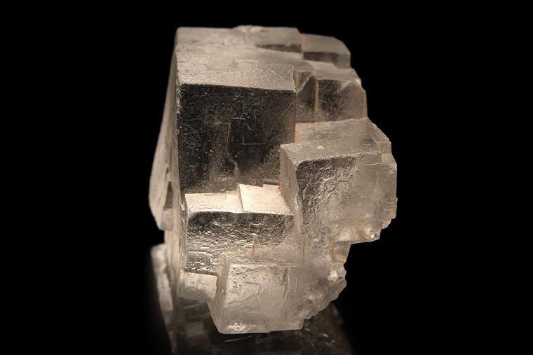 HALITE