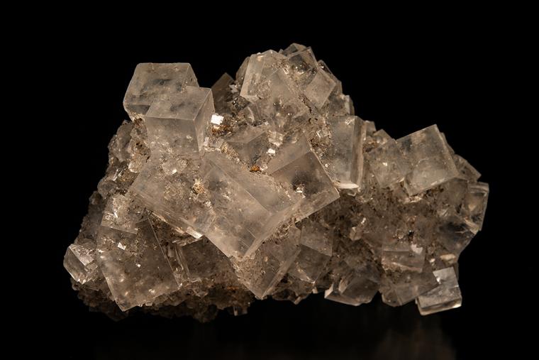 HALITE