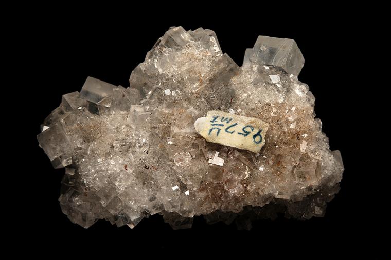 HALITE