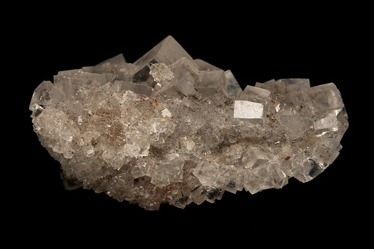 HALITE