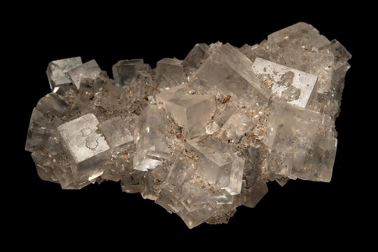 HALITE