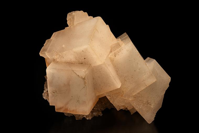 HALITE