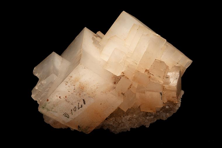 HALITE
