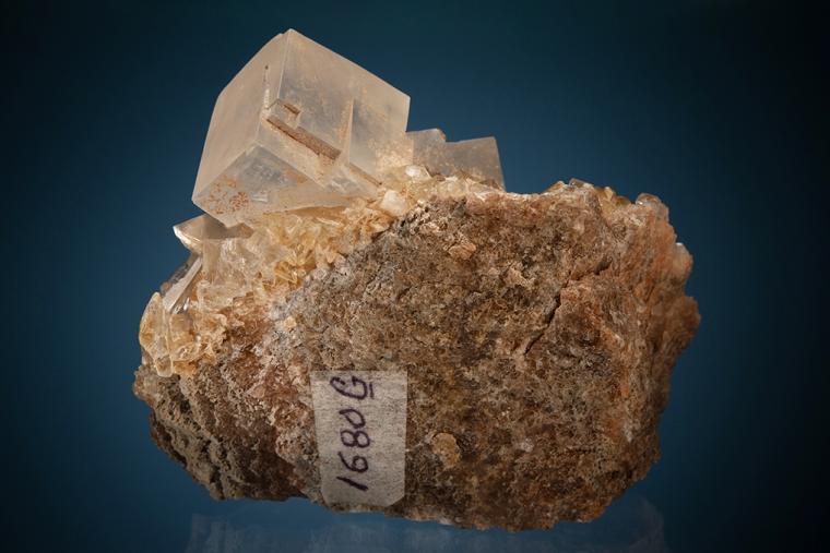 HALITE
