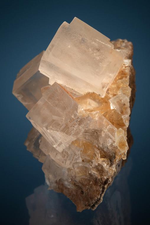 HALITE