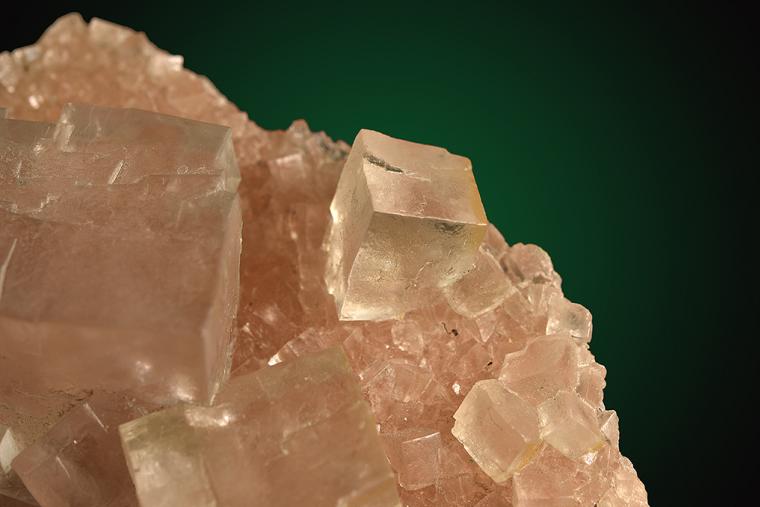 HALITE