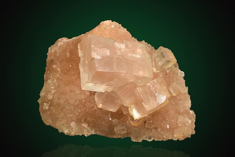 HALITE