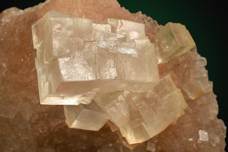 HALITE
