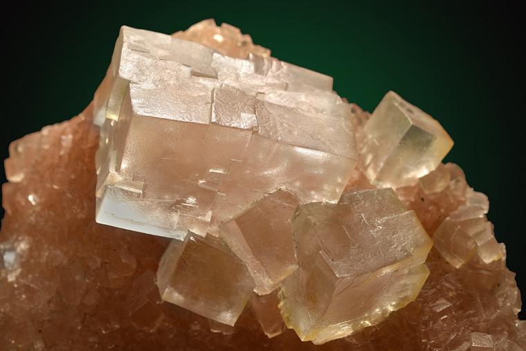 HALITE