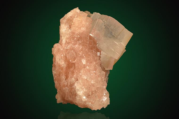 HALITE