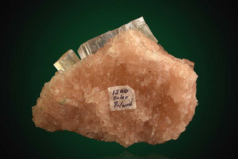 HALITE