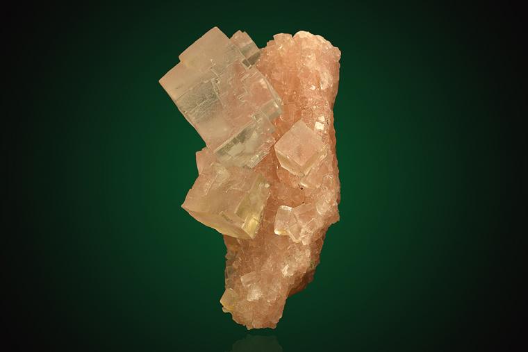 HALITE