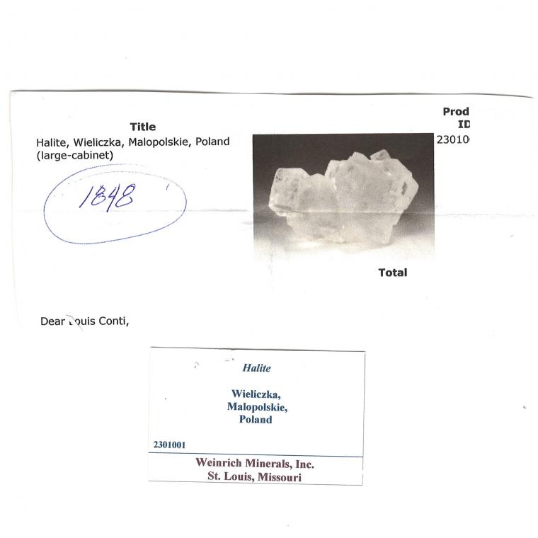 HALITE