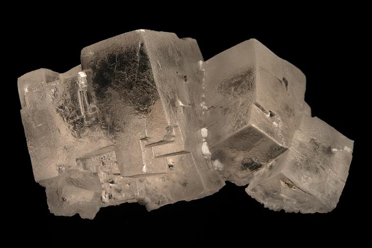HALITE
