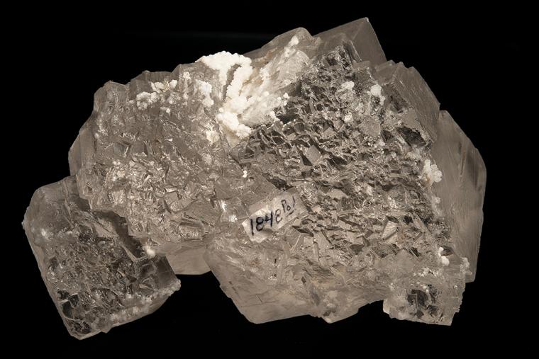 HALITE