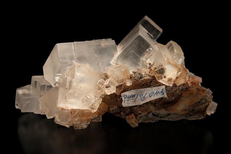 HALITE