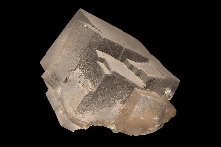 HALITE