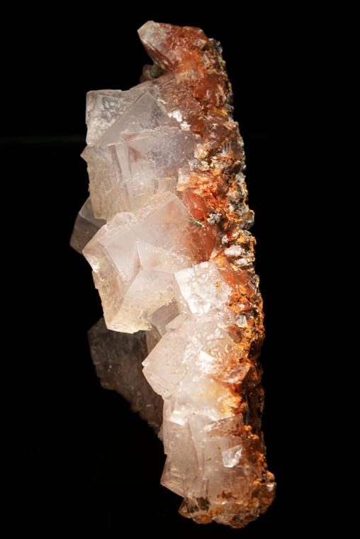 HALITE