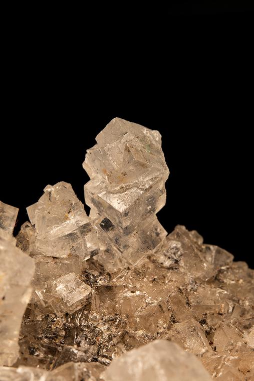 HALITE