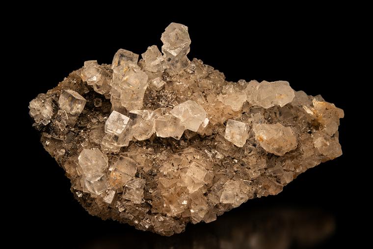HALITE
