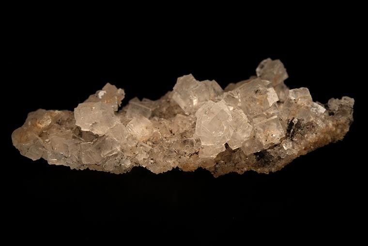 HALITE