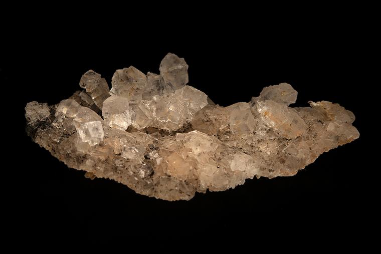 HALITE