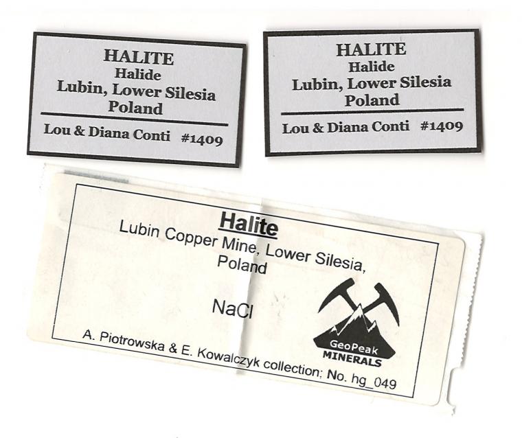 HALITE