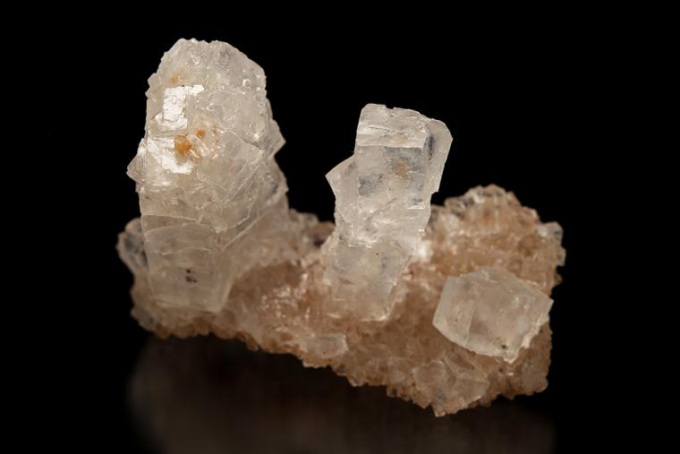 HALITE