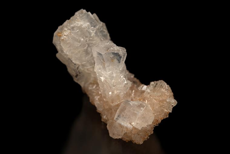 HALITE