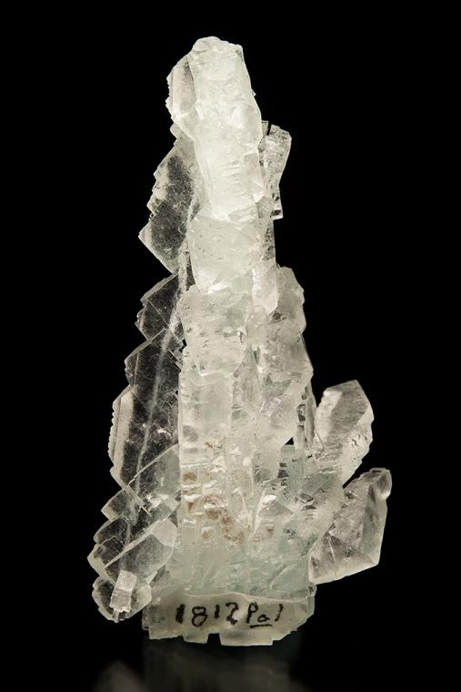 HALITE