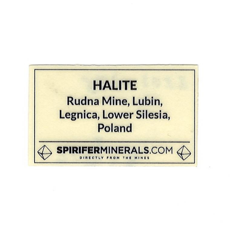HALITE