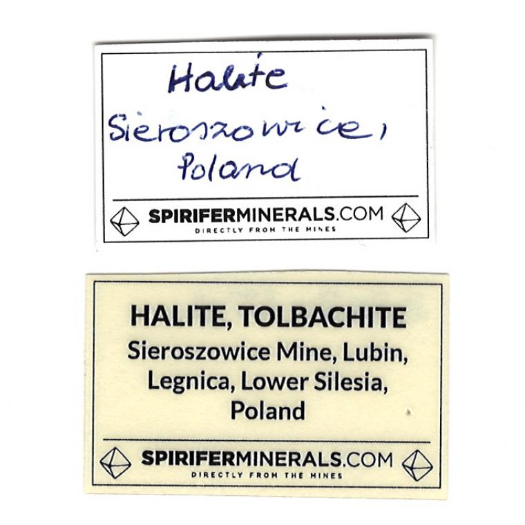 HALITE with TOLBACHITE
