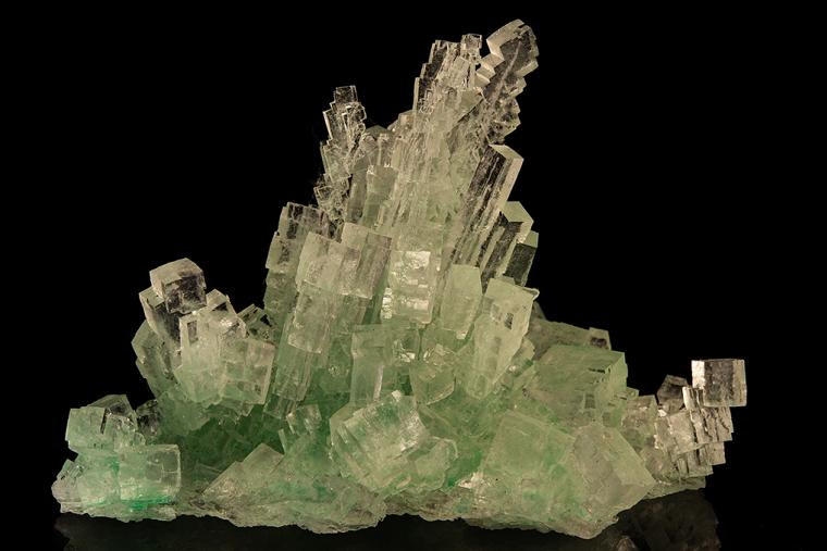 HALITE