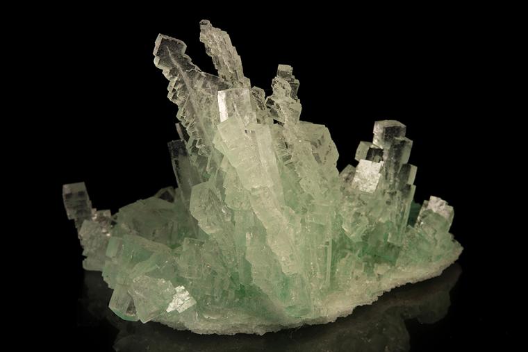HALITE