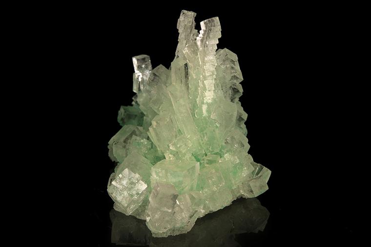 HALITE